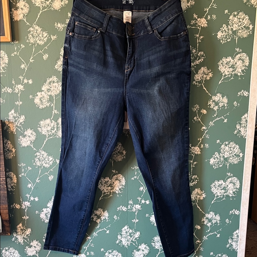 Terra & Sky Dark Indigo Women's Ankle Jeans